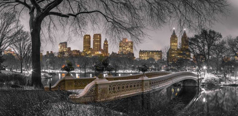 Central park with Manhattan skyline, New York White Modern Wood Framed Art Print with Double Matting by Frank, Assaf