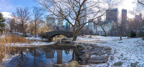 Central park with Lower Manhattan skyline, New York Black Ornate Wood Framed Art Print with Double Matting by Frank, Assaf