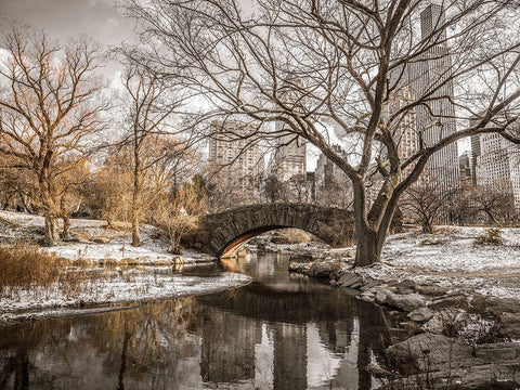 Central park in New York White Modern Wood Framed Art Print with Double Matting by Frank, Assaf