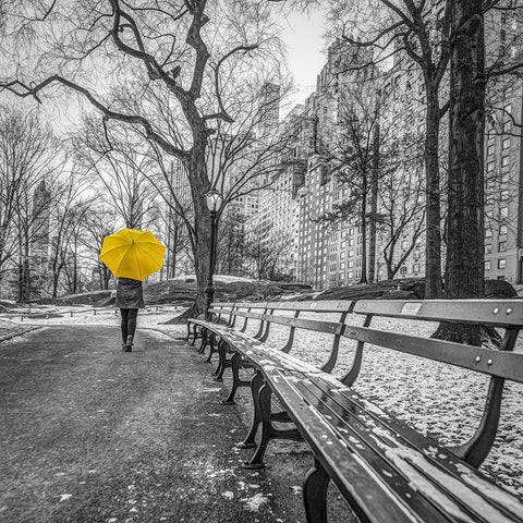 Tourist on pathway with Yellow umbrella at Central park-New York Black Modern Wood Framed Art Print with Double Matting by Frank, Assaf