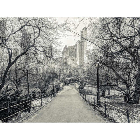Pathway through Central park, New York Black Modern Wood Framed Art Print with Double Matting by Frank, Assaf