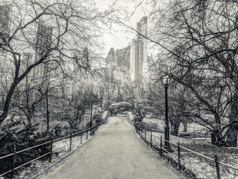 Pathway through Central park, New York White Modern Wood Framed Art Print with Double Matting by Frank, Assaf