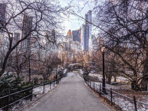 Pathway through Central park, New York White Modern Wood Framed Art Print with Double Matting by Frank, Assaf