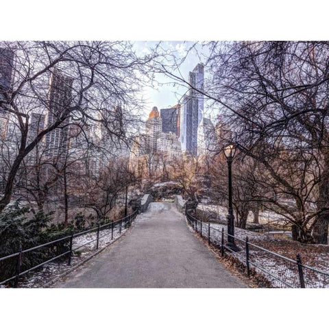 Pathway through Central park, New York Black Modern Wood Framed Art Print with Double Matting by Frank, Assaf