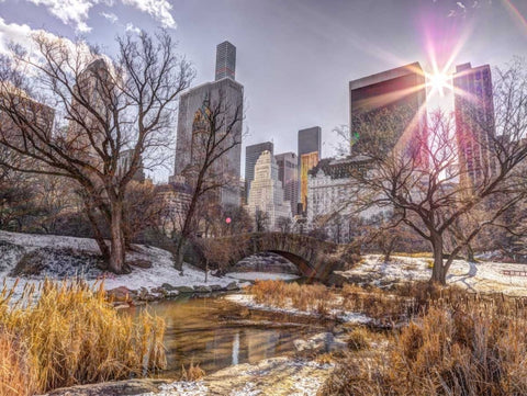 Central park with Lower Manhattan skyline, New York White Modern Wood Framed Art Print with Double Matting by Frank, Assaf