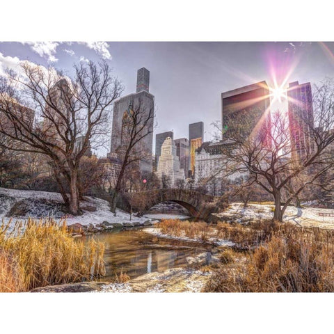 Central park with Lower Manhattan skyline, New York Black Modern Wood Framed Art Print with Double Matting by Frank, Assaf