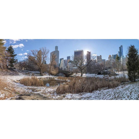 Central park with Lower Manhattan skyline, New York Black Modern Wood Framed Art Print by Frank, Assaf