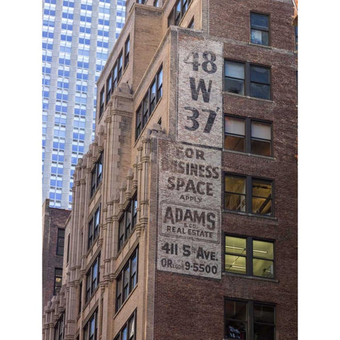 Lower Manhattan cityscape, New York Black Modern Wood Framed Art Print with Double Matting by Frank, Assaf