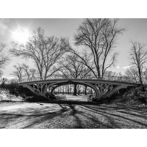 Walkway bridge in Central park, New York, FTBR-1920 White Modern Wood Framed Art Print by Frank, Assaf