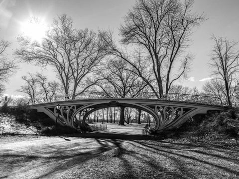 Walkway bridge in Central park, New York, FTBR-1920 White Modern Wood Framed Art Print with Double Matting by Frank, Assaf