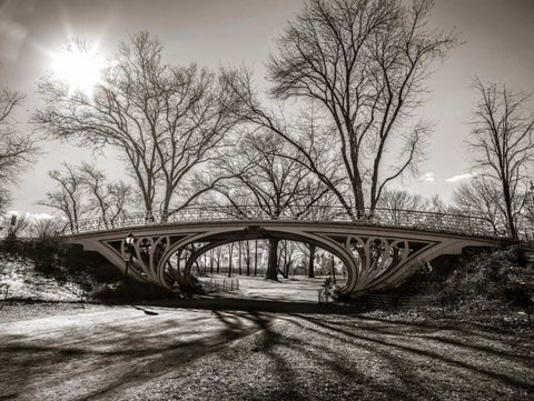 Walkway bridge in Central park, New York, FTBR-1921 White Modern Wood Framed Art Print with Double Matting by Frank, Assaf