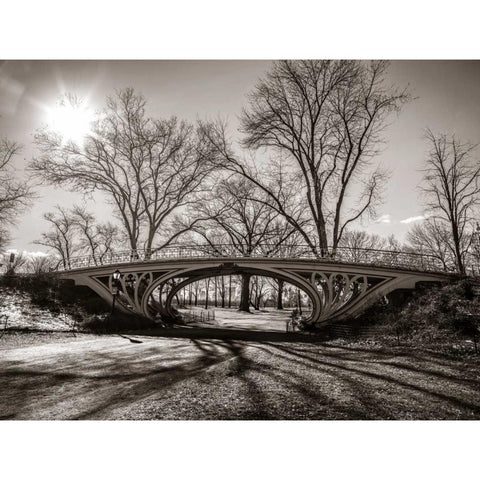 Walkway bridge in Central park, New York, FTBR-1921 Black Modern Wood Framed Art Print by Frank, Assaf