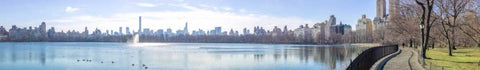 Panoramic view of Lower Manhattan skyline from Central park, New York Black Ornate Wood Framed Art Print with Double Matting by Frank, Assaf