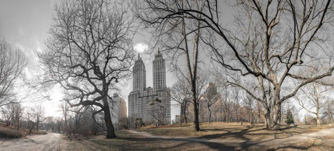 Lower Manhattan cityscape from Central park, New York White Modern Wood Framed Art Print with Double Matting by Frank, Assaf