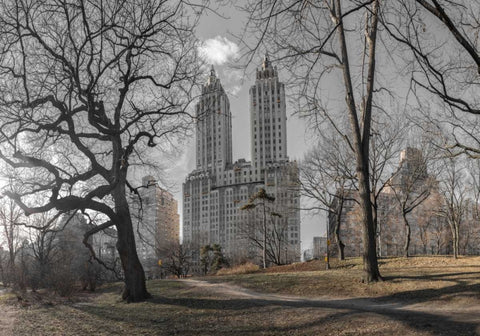 Lower Manhattan cityscape from Central park, New York White Modern Wood Framed Art Print with Double Matting by Frank, Assaf