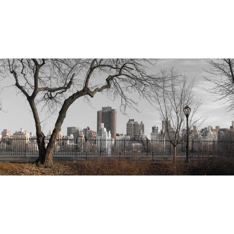 Lower Manhattan cityscape from Central park, New York Black Modern Wood Framed Art Print with Double Matting by Frank, Assaf