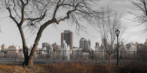 Lower Manhattan cityscape from Central park, New York White Modern Wood Framed Art Print with Double Matting by Frank, Assaf