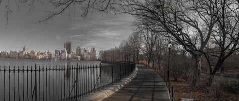 Lower Manhattan cityscape from Central park, New York Black Ornate Wood Framed Art Print with Double Matting by Frank, Assaf