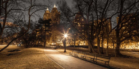 Central park in evening, New York Black Ornate Wood Framed Art Print with Double Matting by Frank, Assaf