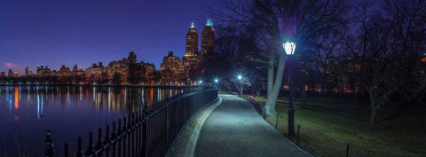 Central park in evening, New York White Modern Wood Framed Art Print with Double Matting by Frank, Assaf