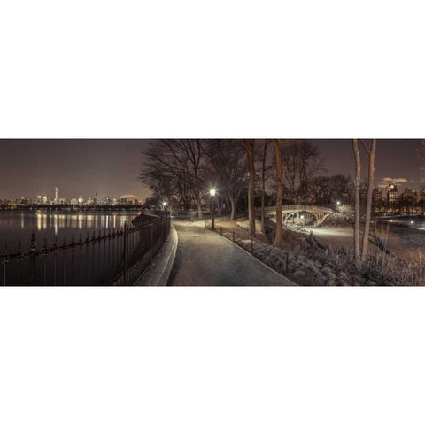 Central park in evening, New York Black Modern Wood Framed Art Print with Double Matting by Frank, Assaf
