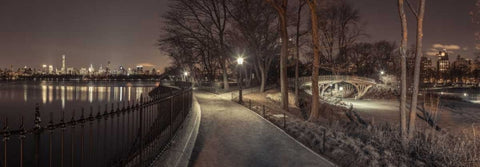 Central park in evening, New York White Modern Wood Framed Art Print with Double Matting by Frank, Assaf