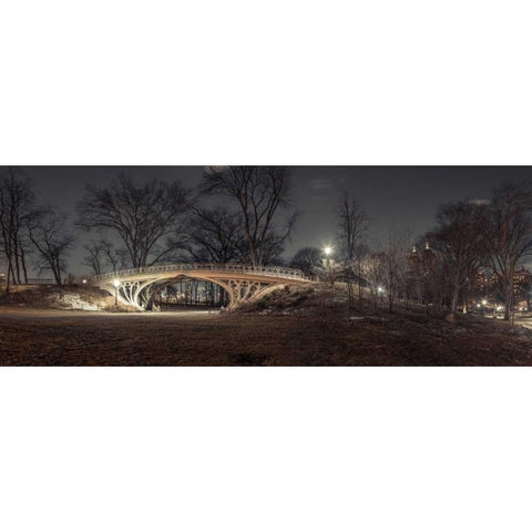 Central park in evening, New York Black Modern Wood Framed Art Print with Double Matting by Frank, Assaf