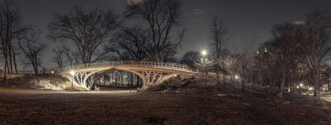 Central park in evening, New York White Modern Wood Framed Art Print with Double Matting by Frank, Assaf