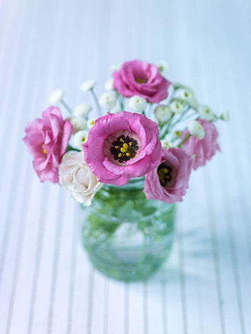 Colorful Lisianthus flowers in glass bottle White Modern Wood Framed Art Print with Double Matting by Frank, Assaf