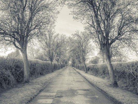 Image Only