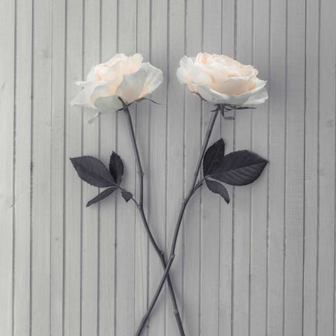 Roses on table Black Ornate Wood Framed Art Print with Double Matting by Frank, Assaf