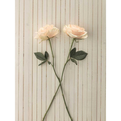 Roses on table Black Modern Wood Framed Art Print by Frank, Assaf