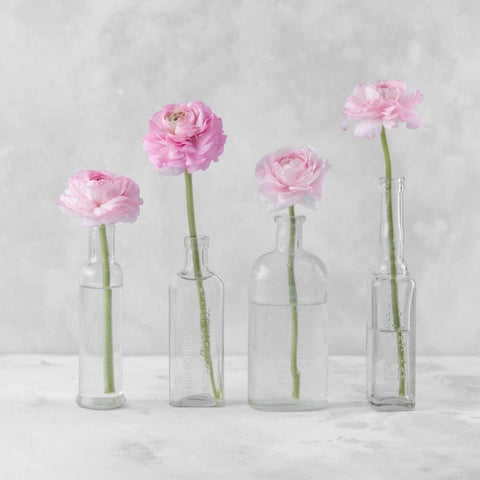 Tulips in glass bottles White Modern Wood Framed Art Print with Double Matting by Frank, Assaf