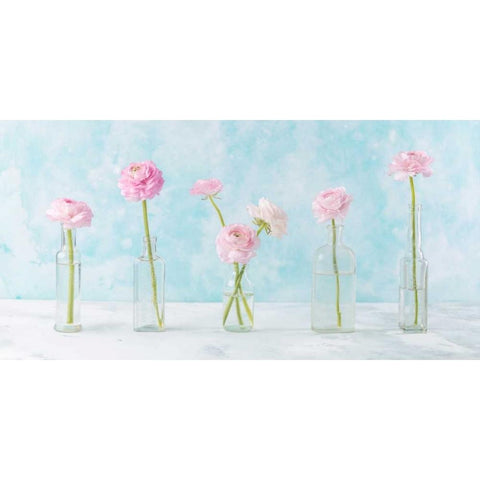 Ranuncuclus flowers in glass bottles Black Modern Wood Framed Art Print with Double Matting by Frank, Assaf