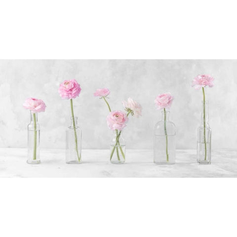 Ranuncuclus flowers in glass bottles White Modern Wood Framed Art Print by Frank, Assaf