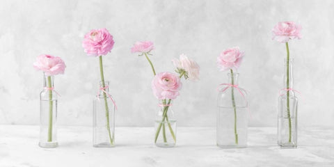 Ranuncuclus flowers in glass bottles Black Ornate Wood Framed Art Print with Double Matting by Frank, Assaf