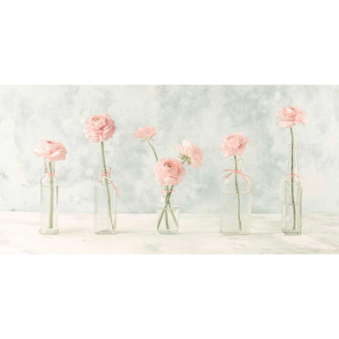 Ranuncuclus flowers in glass bottles Black Modern Wood Framed Art Print with Double Matting by Frank, Assaf