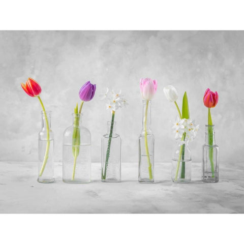 Ranuncuclus flowers in glass bottles White Modern Wood Framed Art Print by Frank, Assaf