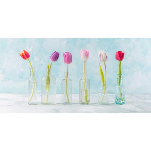 Ranuncuclus flowers in glass bottles Black Modern Wood Framed Art Print by Frank, Assaf