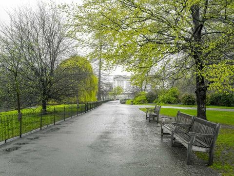St James Park, London Black Ornate Wood Framed Art Print with Double Matting by Frank, Assaf