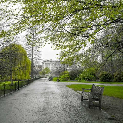 St James Park, London Black Modern Wood Framed Art Print with Double Matting by Frank, Assaf