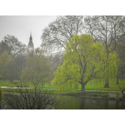 St James Park, London Black Modern Wood Framed Art Print with Double Matting by Frank, Assaf