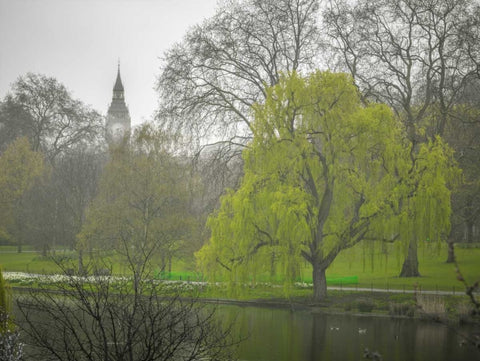 St James Park, London White Modern Wood Framed Art Print with Double Matting by Frank, Assaf