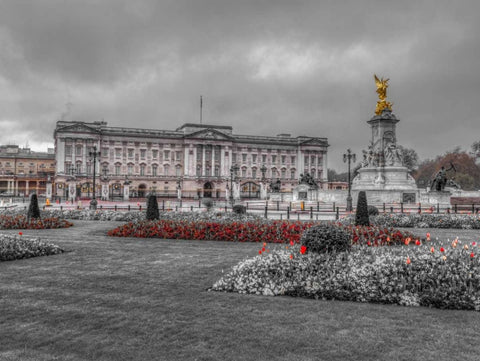 Buckingham Palace and St James Park, London Black Ornate Wood Framed Art Print with Double Matting by Frank, Assaf