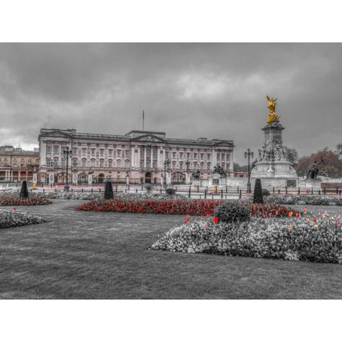 Buckingham Palace and St James Park, London Black Modern Wood Framed Art Print with Double Matting by Frank, Assaf