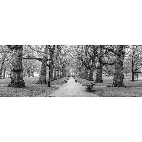 Avenue of trees, Green Park, London, FTBR-1839 Black Modern Wood Framed Art Print with Double Matting by Frank, Assaf