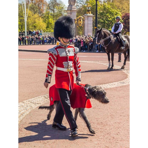 Changing the Guard, Buckingham Palace, London White Modern Wood Framed Art Print by Frank, Assaf