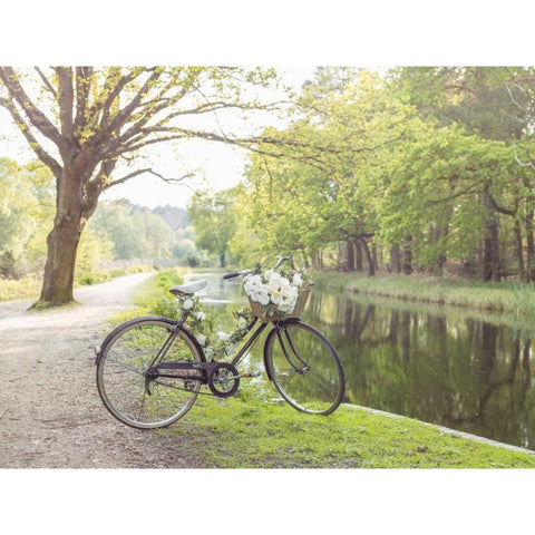 Variety of pulses in a wooden box White Modern Wood Framed Art Print by Frank, Assaf