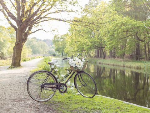 Variety of pulses in a wooden box Black Ornate Wood Framed Art Print with Double Matting by Frank, Assaf