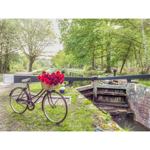 Bicycle with bunch of white roses by the canal Black Modern Wood Framed Art Print with Double Matting by Frank, Assaf